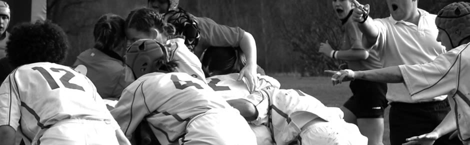 在线电话轰炸网页版